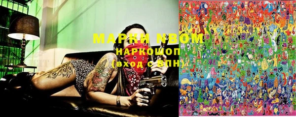 PSILOCYBIN Краснослободск