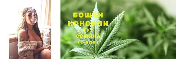 PSILOCYBIN Краснослободск