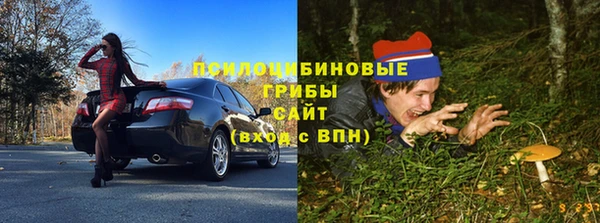 PSILOCYBIN Краснослободск